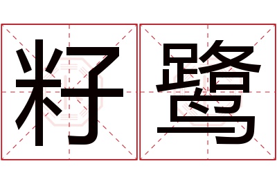 籽鹭名字寓意