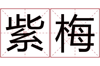 紫梅名字寓意