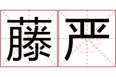 藤严名字寓意