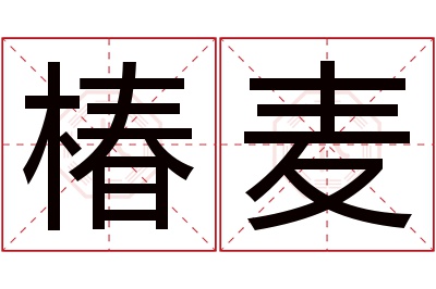 椿麦名字寓意