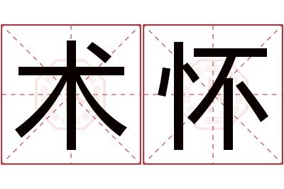 术怀名字寓意