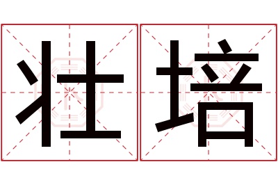 壮培名字寓意