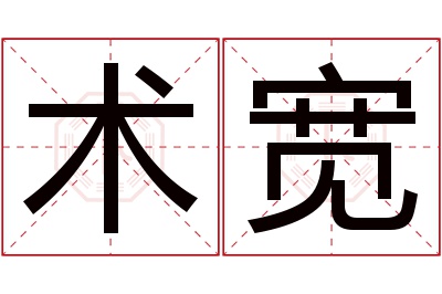 术宽名字寓意