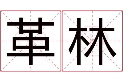 革林名字寓意 革林名字寓意