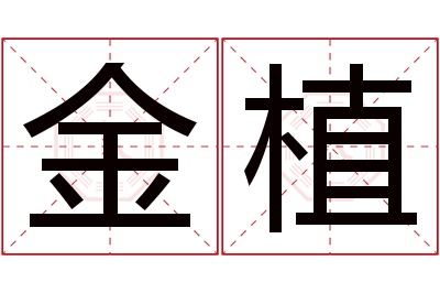 金植名字寓意