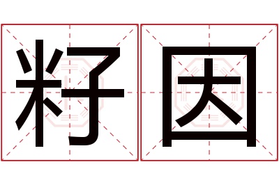 籽因名字寓意