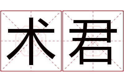 术君名字寓意