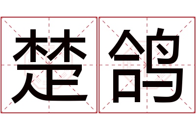 楚鸽名字寓意