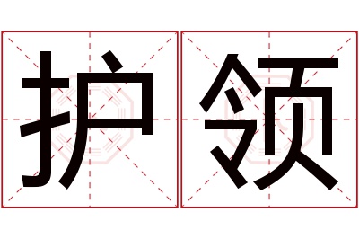 护领名字寓意