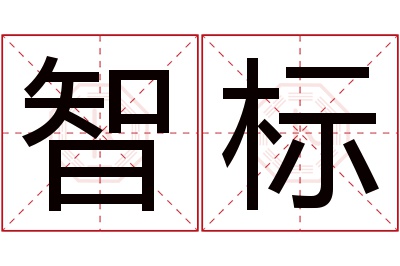 智标名字寓意