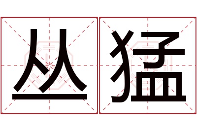 丛猛名字寓意