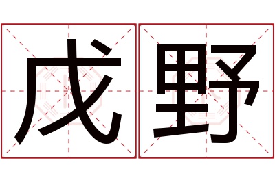 戊野名字寓意