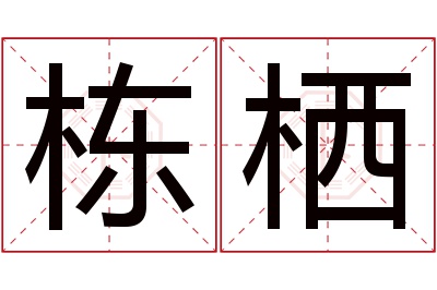 栋栖名字寓意