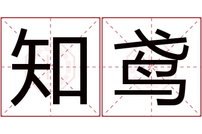 知鸢名字寓意 知鸢名字寓意