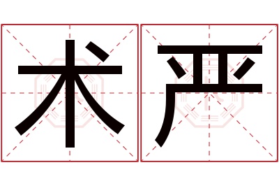 术严名字寓意 术严名字寓意