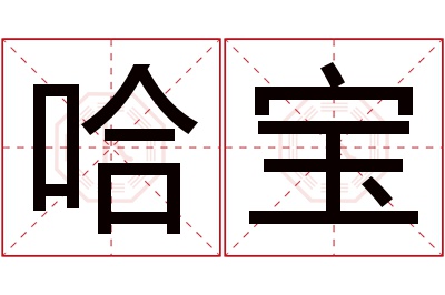 哈宝名字寓意