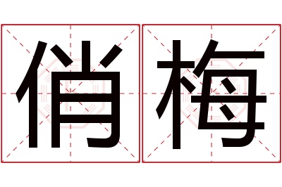 俏梅名字寓意