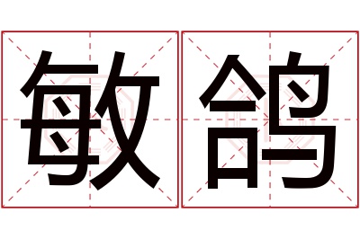 敏鸽名字寓意