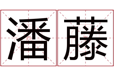 潘藤名字寓意