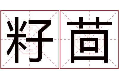 籽茴名字寓意