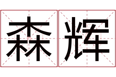 森辉名字寓意