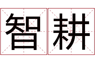 智耕名字寓意