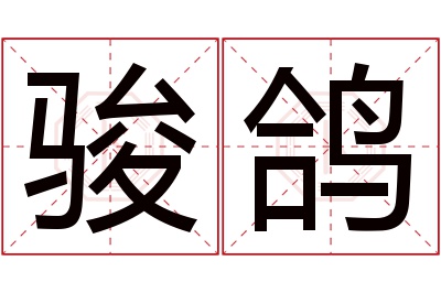 骏鸽名字寓意