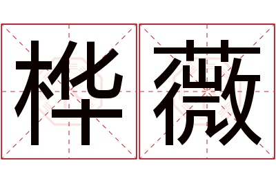 桦薇名字寓意