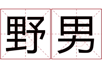 野男名字寓意