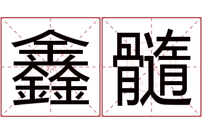 鑫髓名字寓意