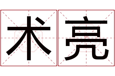 术亮名字寓意