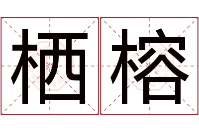 栖榕名字寓意