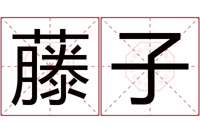 藤子名字寓意