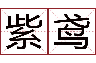 紫鸢名字寓意