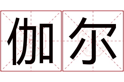 伽尔名字寓意