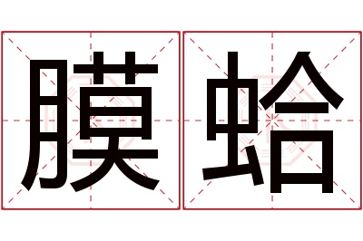 膜蛤名字寓意