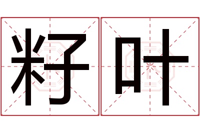 籽叶名字寓意