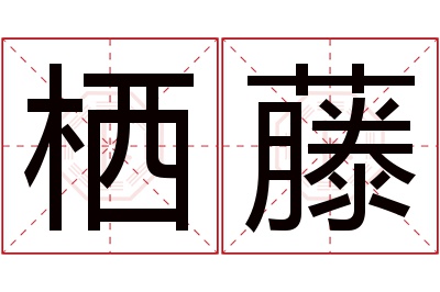 栖藤名字寓意 栖藤名字寓意