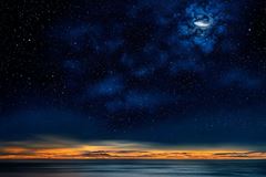 属羊人2025年每月运势