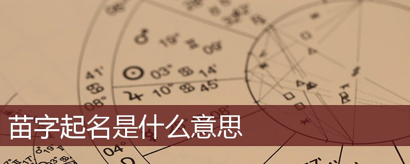 苗字起名是什么意思 苗字起名的寓意