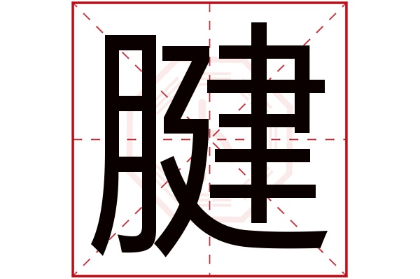 腱字五行属什么,腱字在名字里的含义,腱字起名的寓意