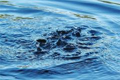 梦见海水