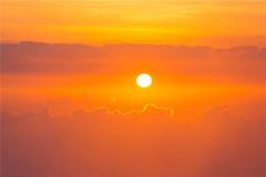 梦见太阳、日
