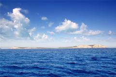 梦见海洋、大海
