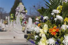 梦见自己家祖宗的墓地