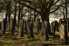 已婚女人梦见很多土坟