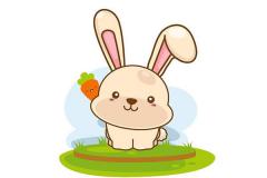 属兔的人2011年运程