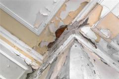 梦见屋顶漏水是怎么回事?