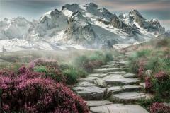 廿四山兼向分金吉凶