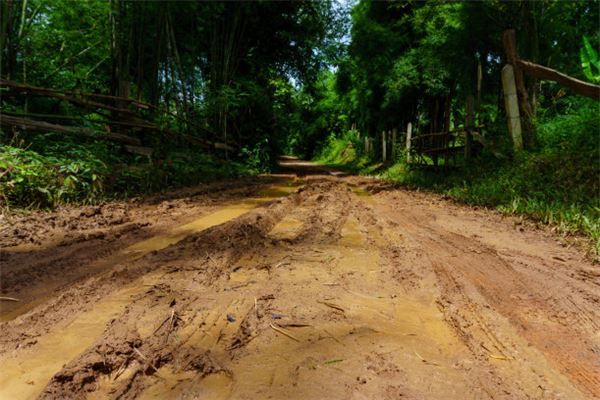 孕妇梦见道路泥泞难走（孕妇梦见路特别的泥泞难走） 孕妇梦见蹊径

泥泞难走（孕妇梦见路特别

的泥泞难走） 卜算大全